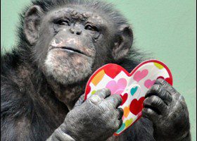 Knoxville Zoo