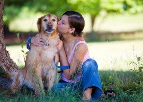 knoxvillle-dog-parks