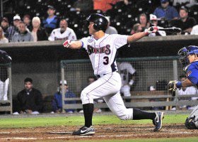 Tennessee Smokies 2013
