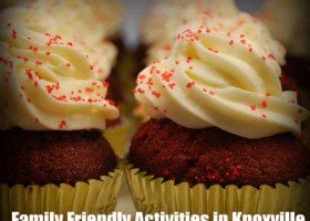 Cupcakes_In_The_Park-Knoxville