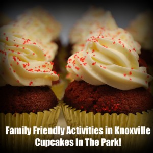 Cupcakes_In_The_Park-Knoxville