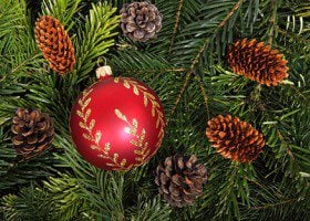 Things to do in Knoxville at Christmas