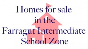 homes for sale in Farragut Intermediate School Zone