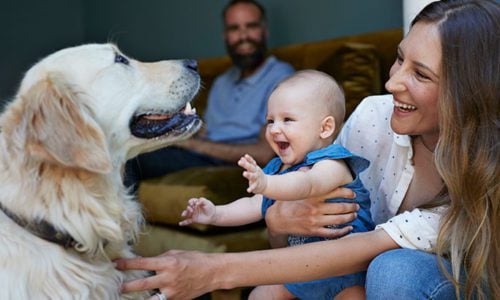 What makes a house a home for you?