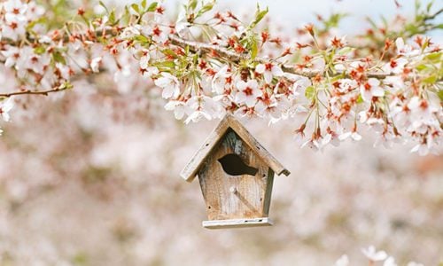 Data Says April is the Best Month to List Your Home for Sale in Knoxville
