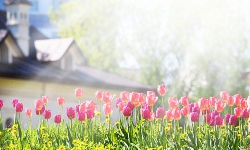 The Knoxville Housing Market Will “Spring Forward” This Year!